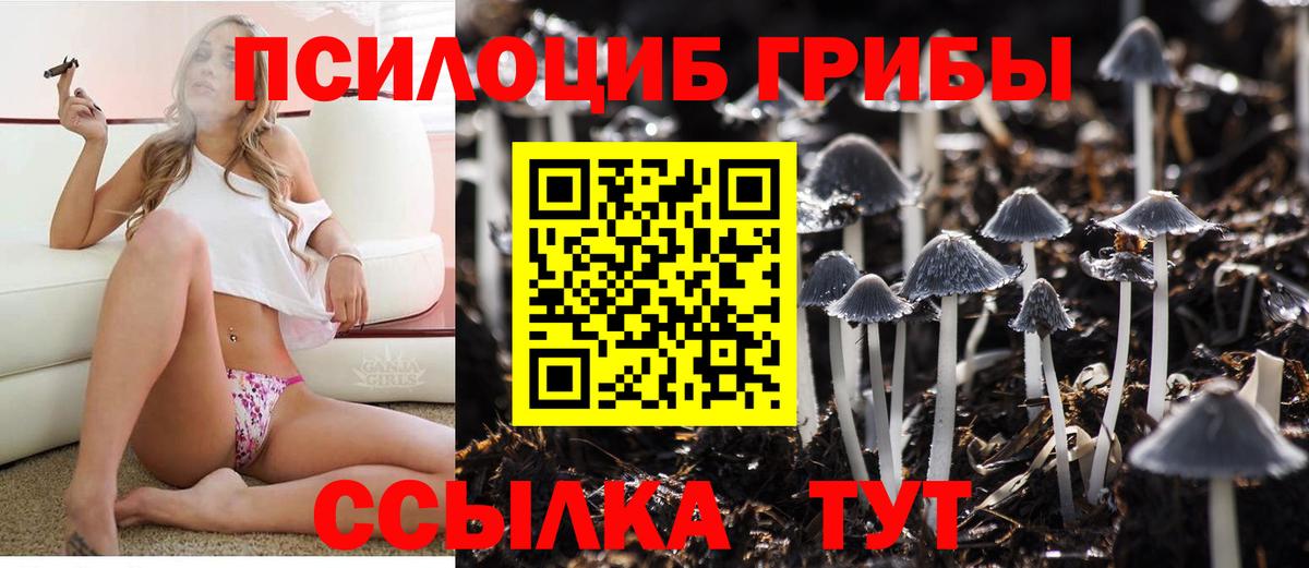 Ковров  Галлюциногенные грибы ЛСД  Вход с VPN  Псилоцибиновые грибы Cubensis 